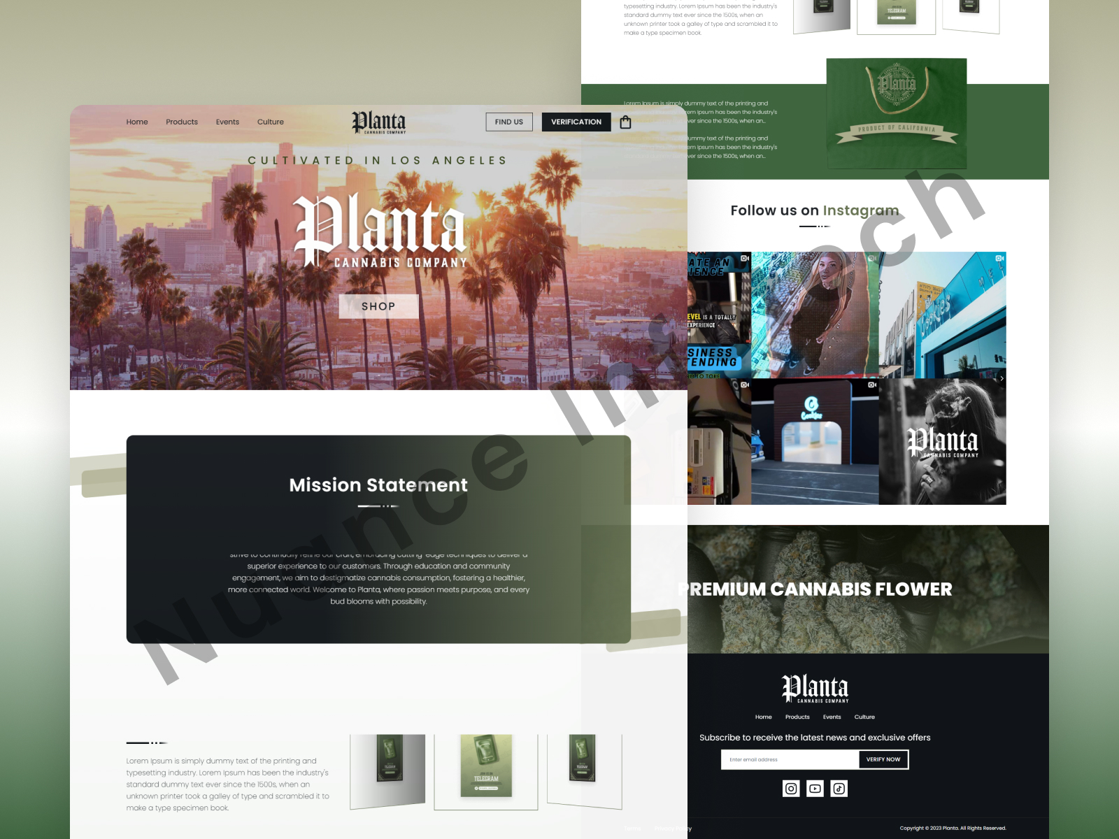 planta (1)
